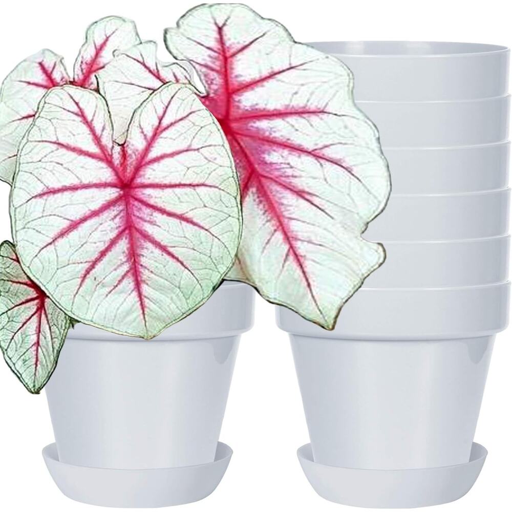 Youngever 7 Pack 6.5" Plastic Plant Pots with Saucers Grey NIB